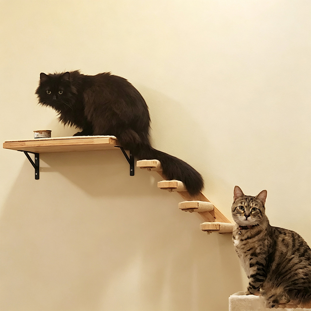 Móveis para Gatos: Ponte Suspe - Furniture Paradise & Hardware Ghaziabad avaliação e preço
